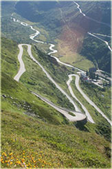 Bernsk Alpy