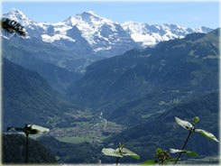 Bernské Alpy